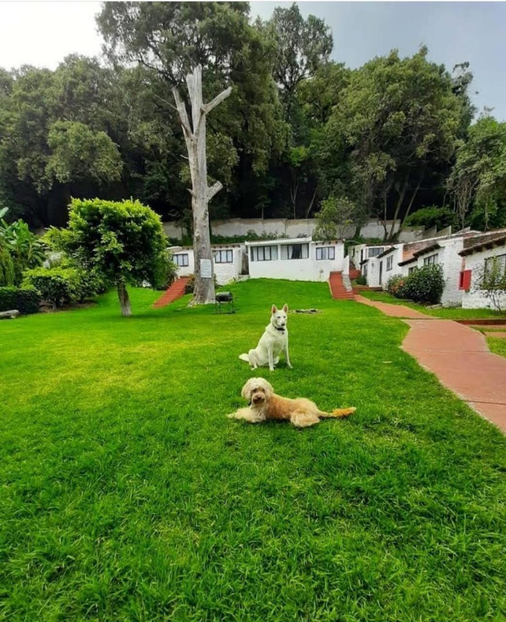 Club Santa Maria Hotell Cuernavaca Exteriör bild